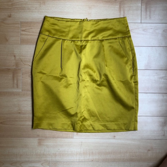 Gold Skirt - Picture 1 of 1